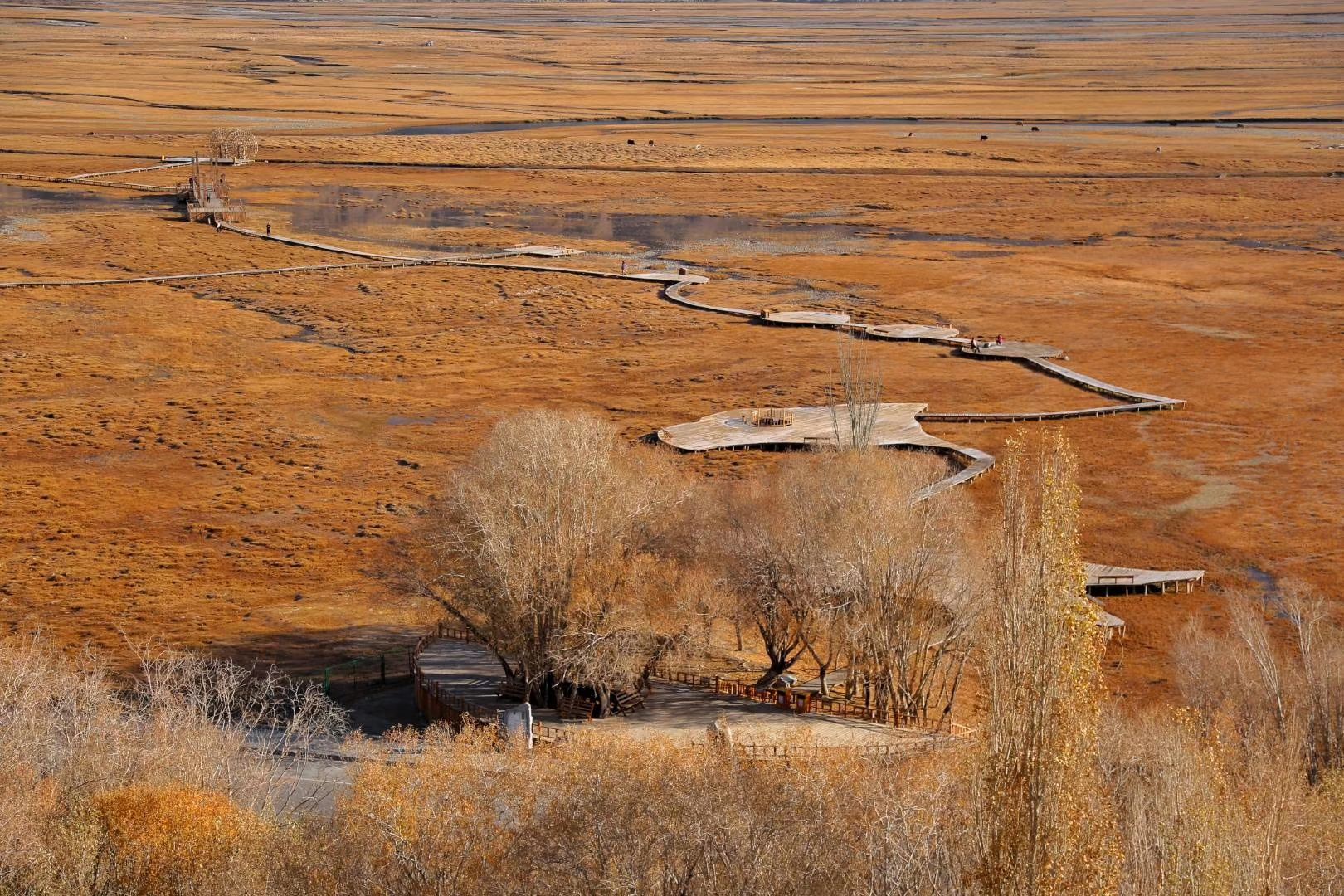 2022喀什古石头城游玩攻略,俯瞰石头城下的金草滩湿地，...【去哪儿攻略】