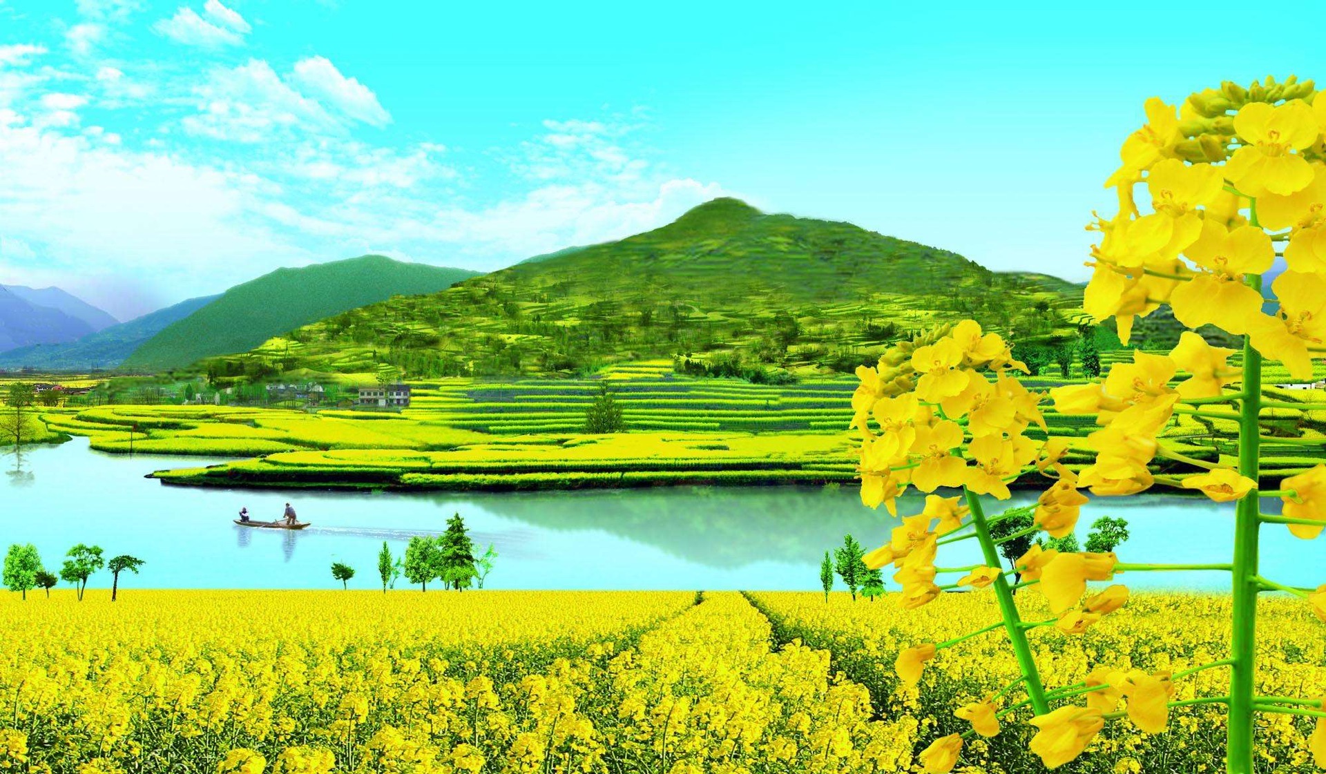 汉中洋县官方强烈推荐的最美油菜花海观花线路线