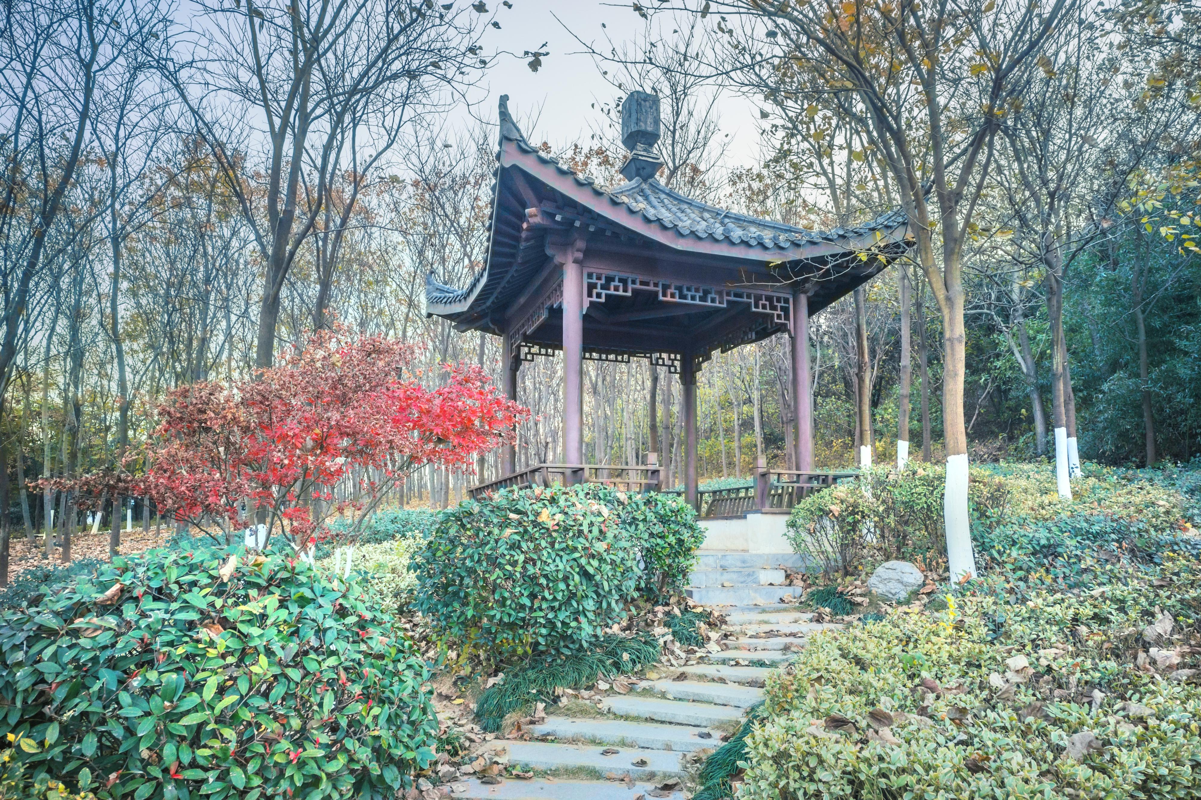 松石園 江蘇省徐州市泉山區三環西路太陽花園附近(南岸別墅北) 匙坐