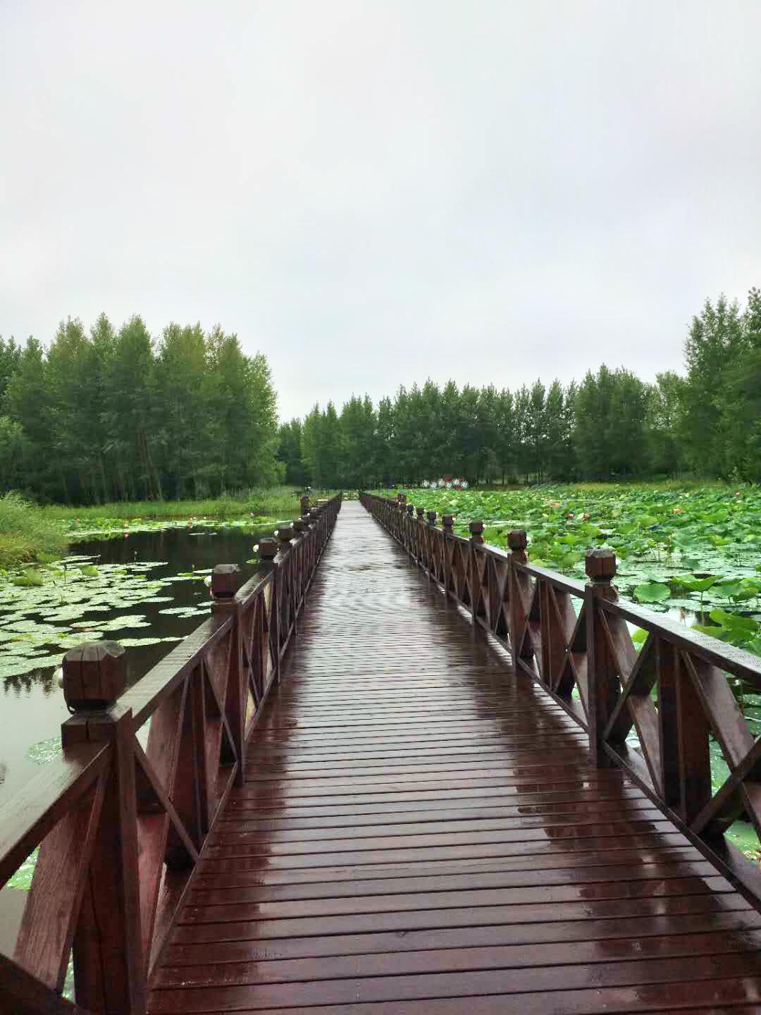 梅河口體育公園