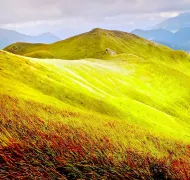 3-Day Fuding Tour: Taimu Mountain's unique scenery, Mandarin Duck Meadow and Dayushan Island views