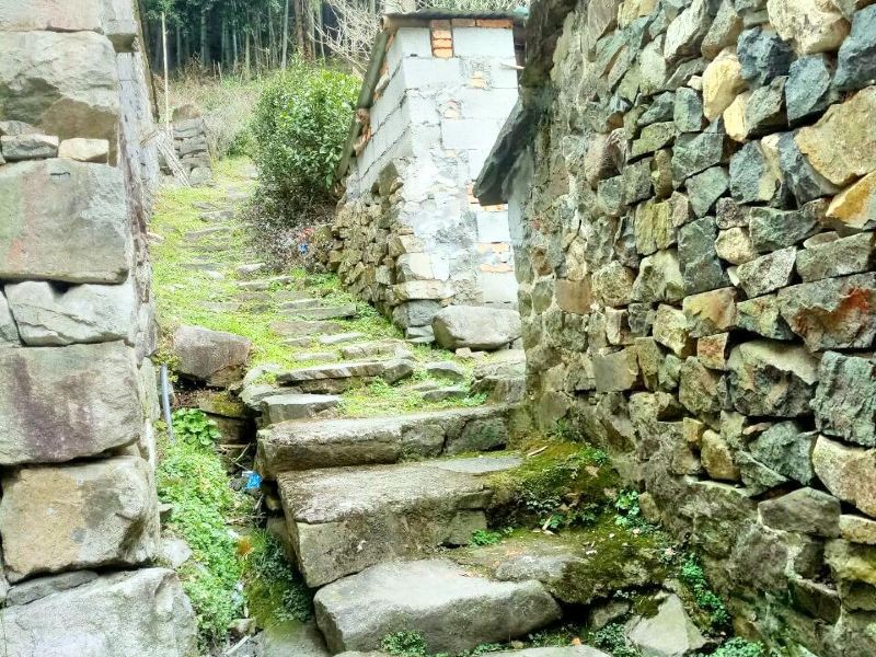 余姚杜徐岙村攻略-杜徐岙村门票价格多少钱-团购票价预定优惠-景点