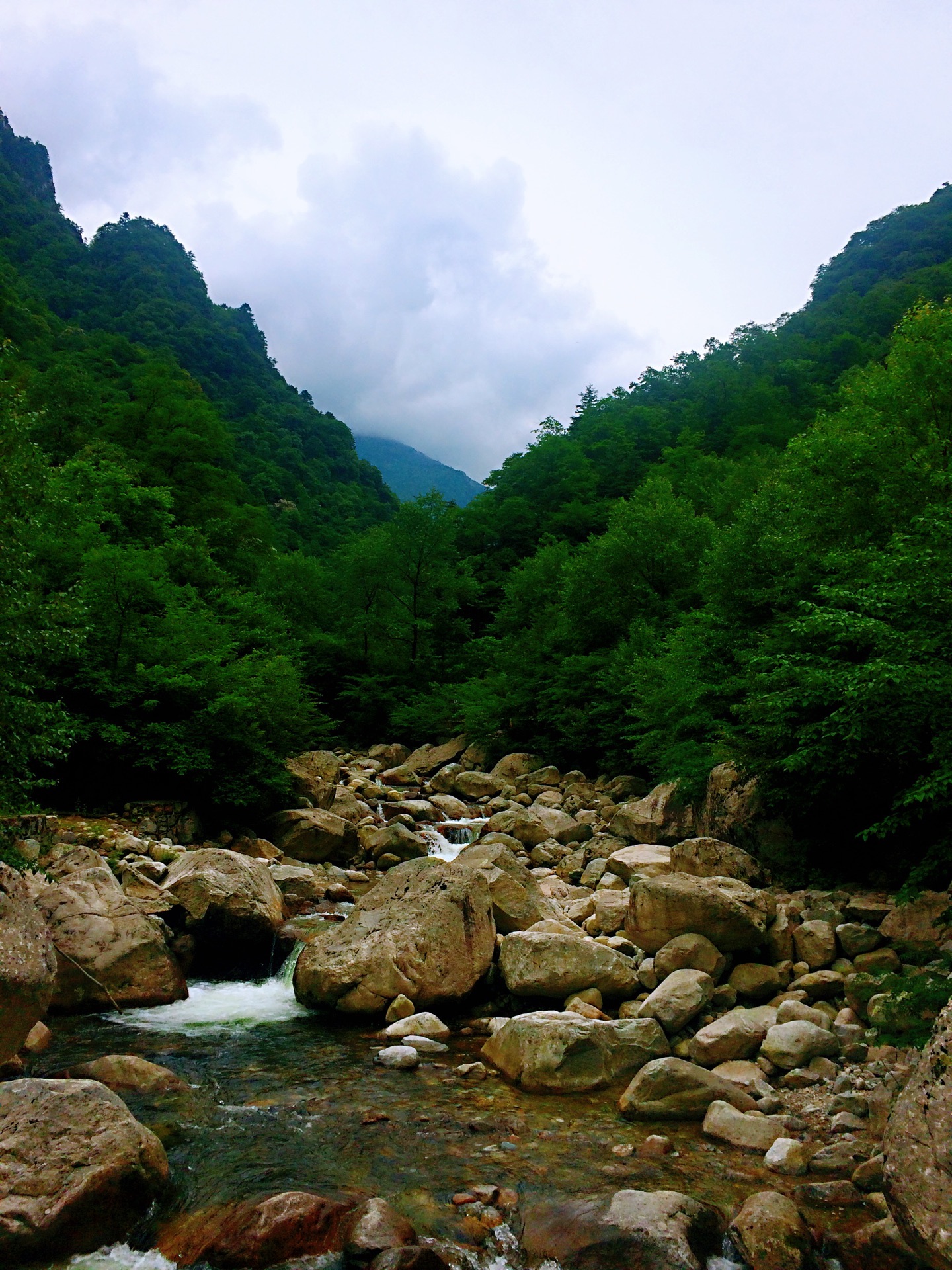 青峰峡森林公园