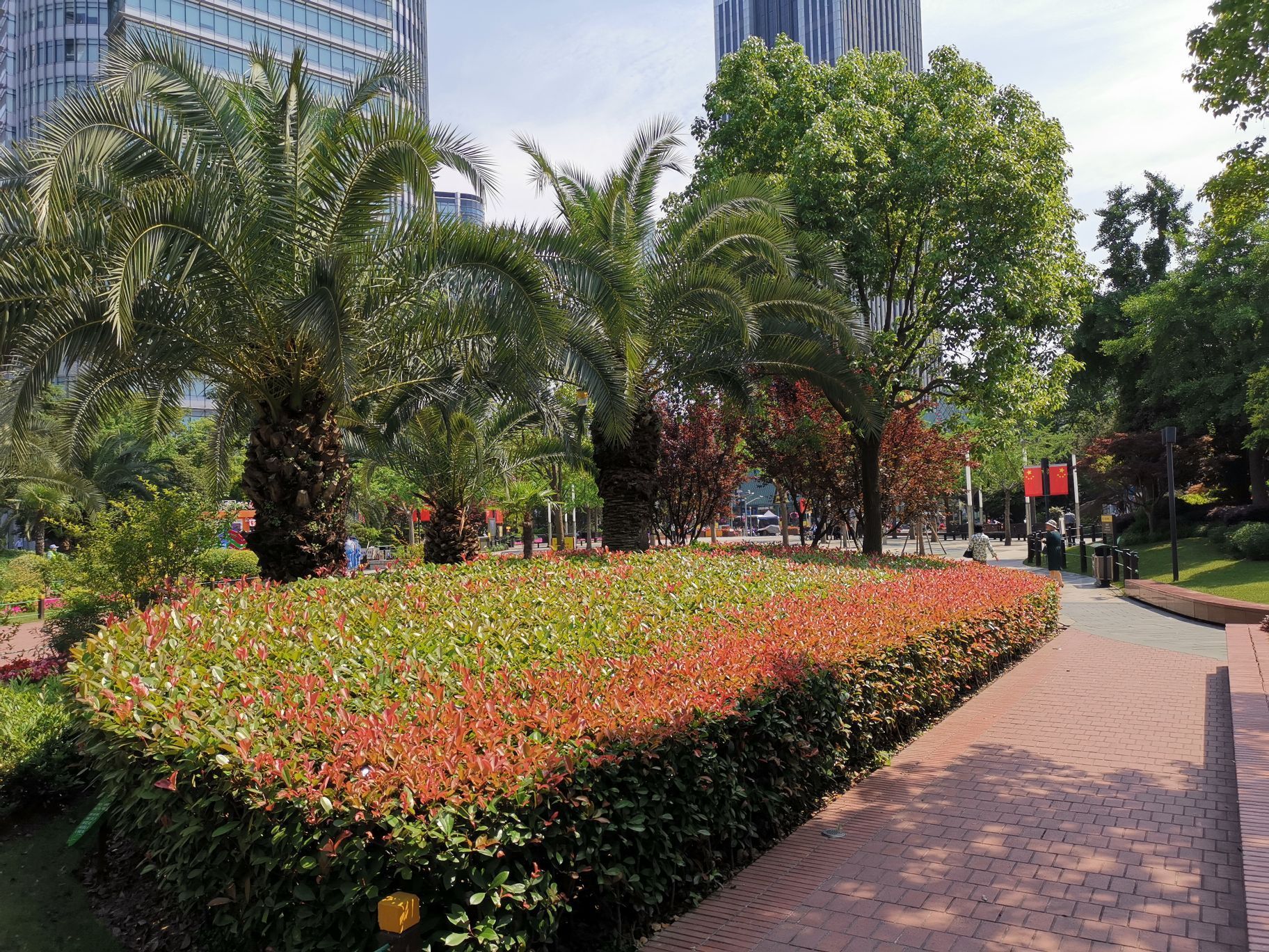 四川北路公园是上海市虹口区的一个开放性公园,供市民们休闲,健身和