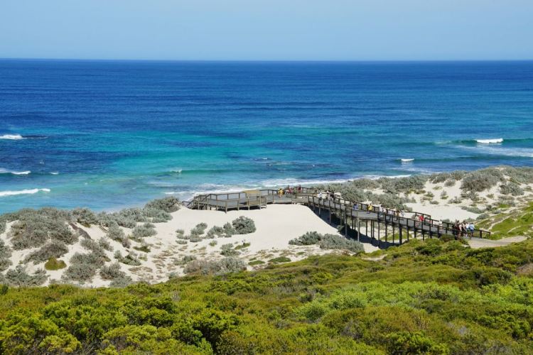 Seal Bay Conservation Park travel guidebook –must visit attractions in