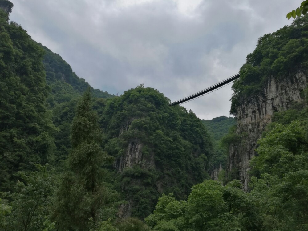 长阳五爪观