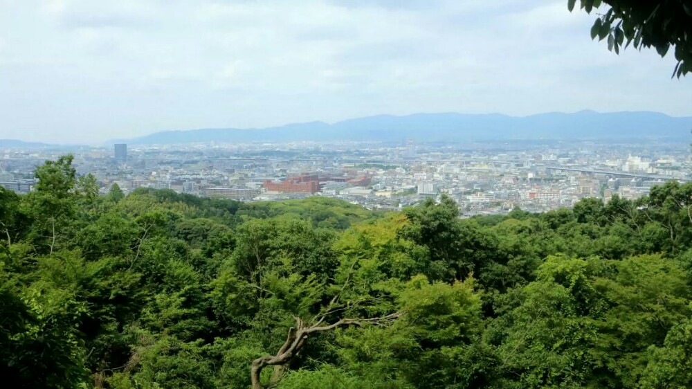 【携程攻略】京都伏见稻荷大社景点,千鸟居很美!走到山顶都挺累的.