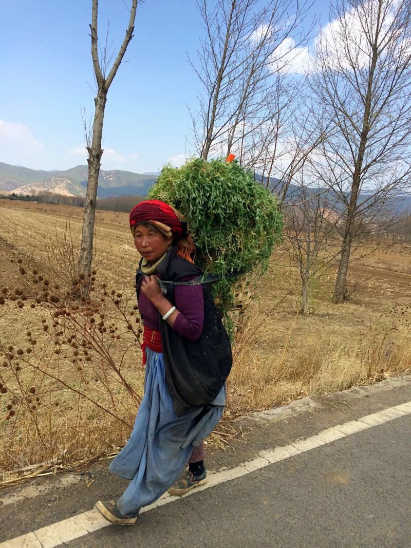 非常質樸的當地人的生活就這樣展現在眼前,沒有什麼商業化,只是普通