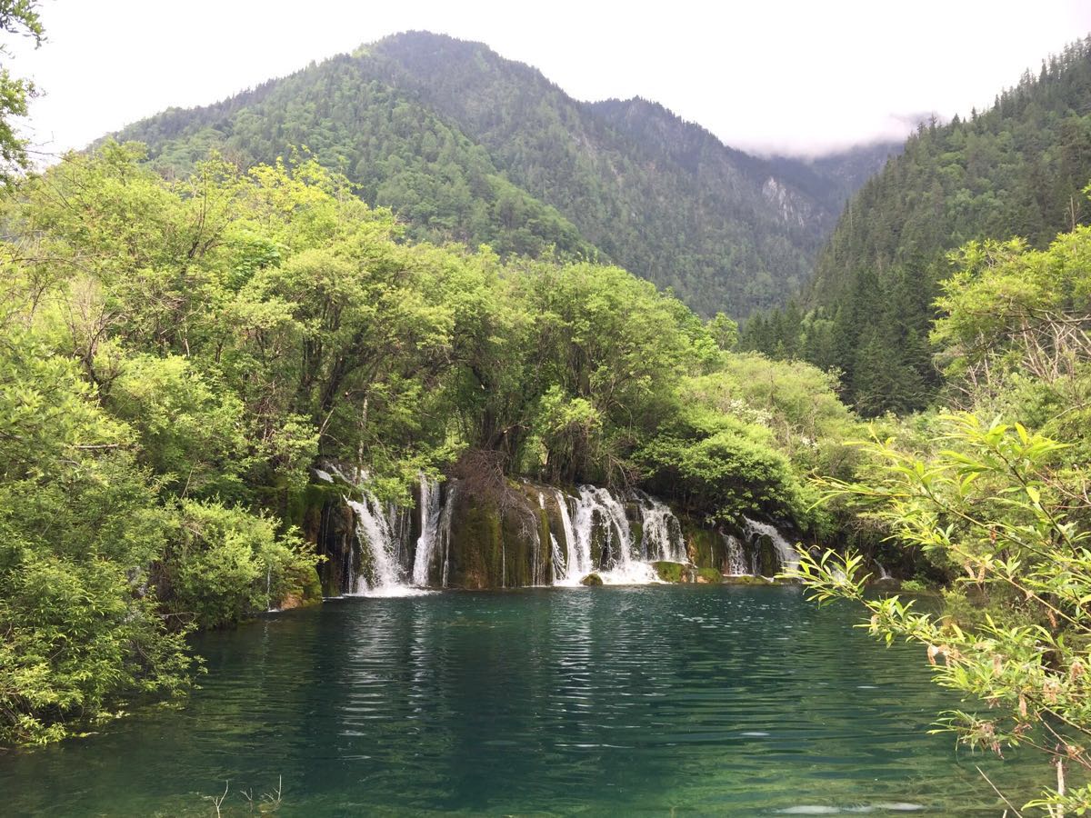 【攜程攻略】九寨溝九寨溝風景區景點,來了才知道什麼叫仙境,才深切的