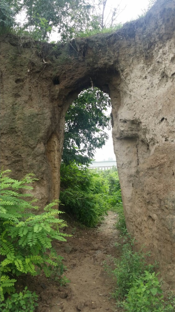 2021台西商代遗址游玩攻略,.商代遗址,有世界上最早的.【去哪儿攻略】