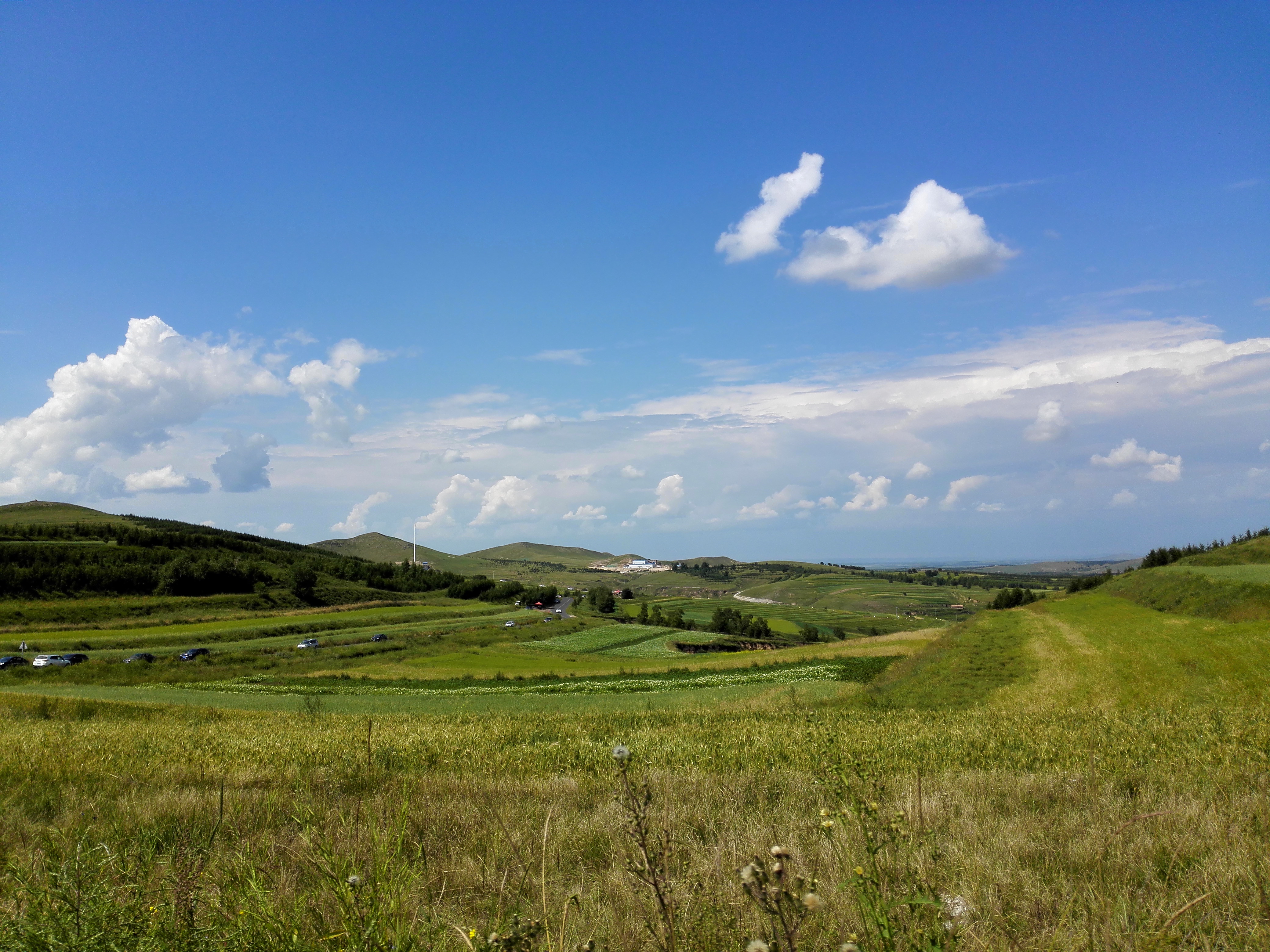 【携程攻略】张家口草原天路景点,每一处的景色都犹如一副美丽的风景