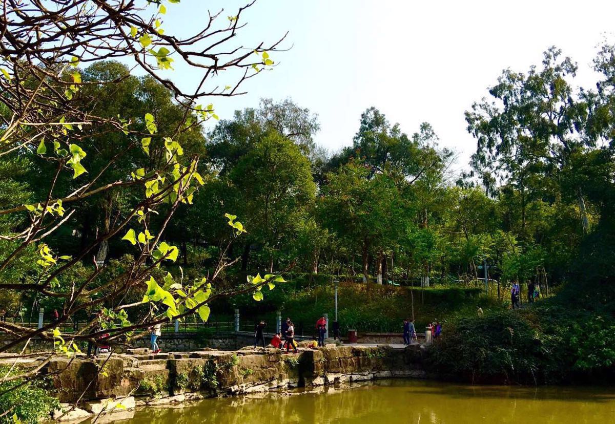 【攜程攻略】廣州麓湖公園景點,麓湖公園,從小就居住在這一片,時不時