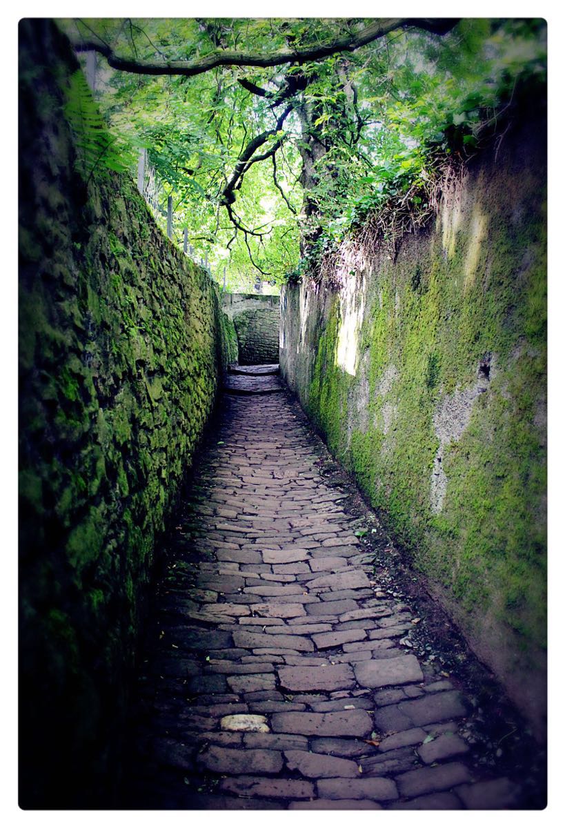 哲学家小径philosophenweg