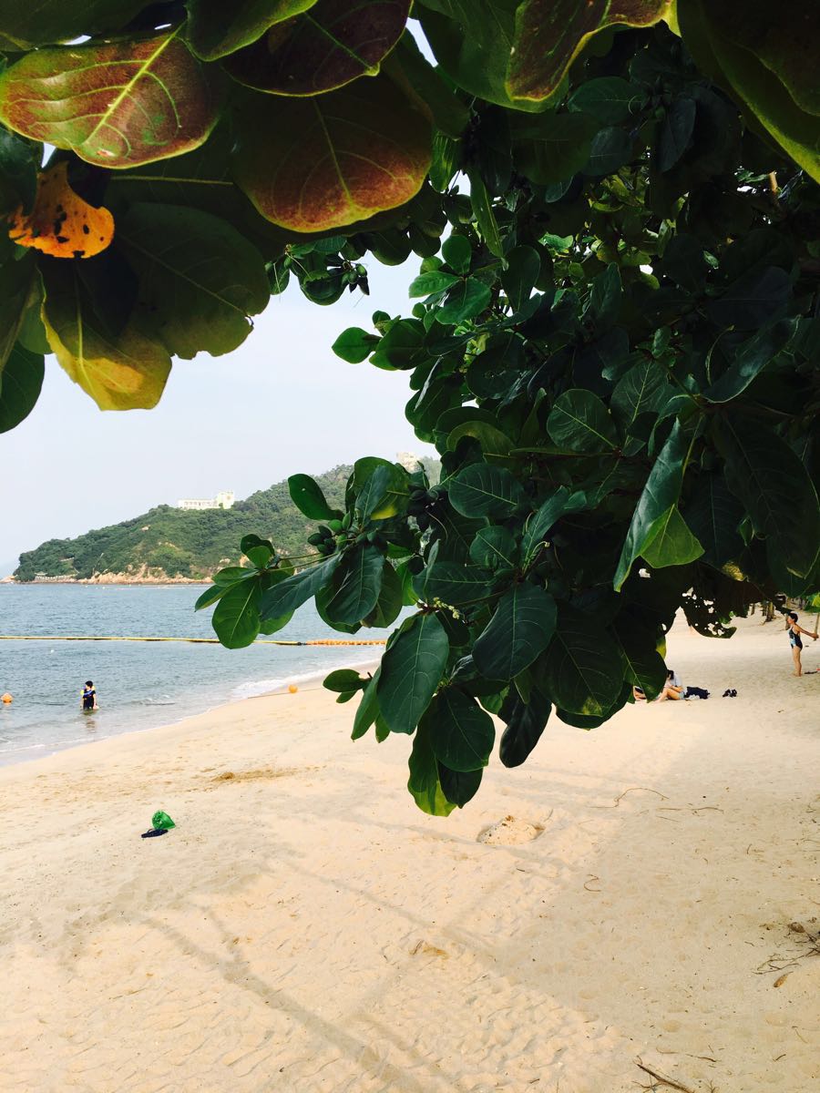 長洲島