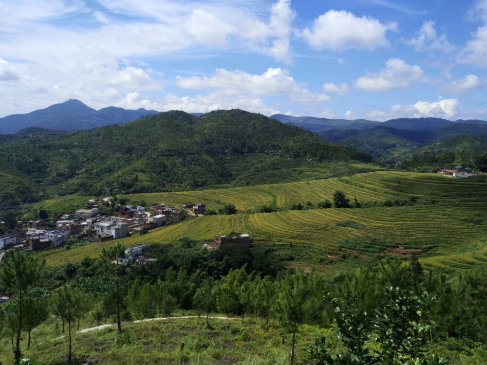 大埔旅遊旅遊景點推薦-去哪兒攻略