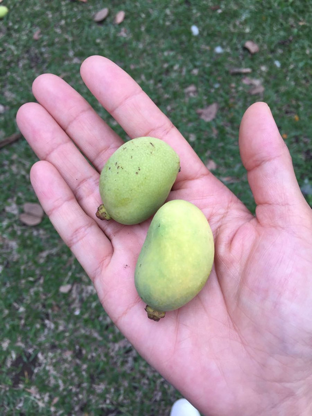 印尼日惹婆罗浮屠和默拉皮火山四日完美登顶之