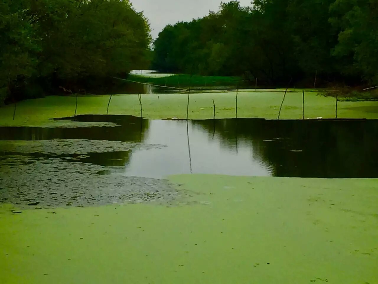 【携程攻略】广西贺州昭平黄姚古镇周家水库好玩吗,广西周家水库景点