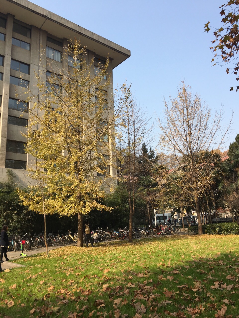 携程攻略】南京东南大学景点,不是景点胜似景