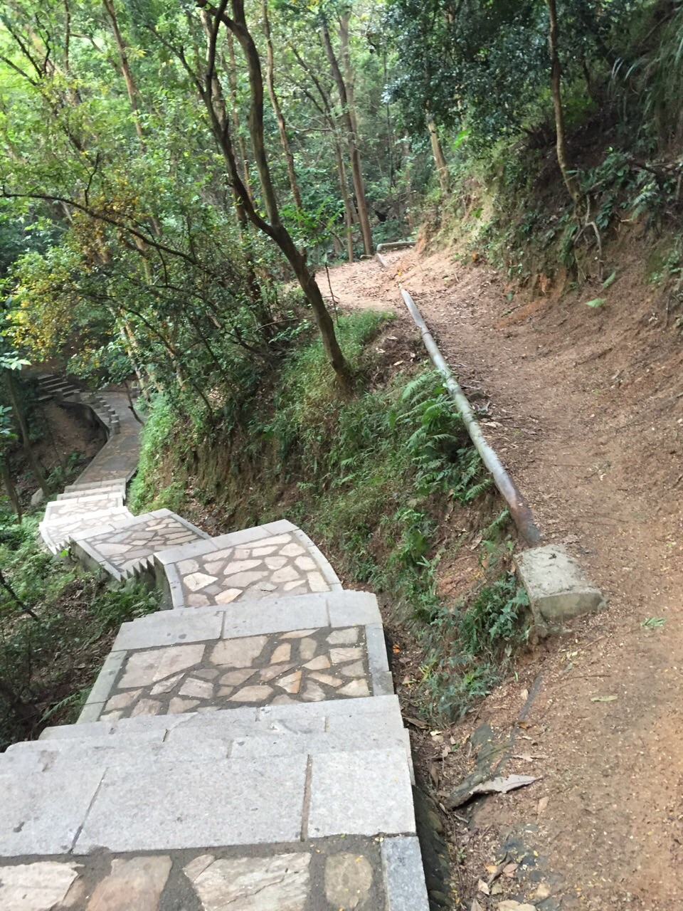 【攜程攻略】深圳羊台山森林公園景點,很不錯,適合都市上班族鍛鍊.