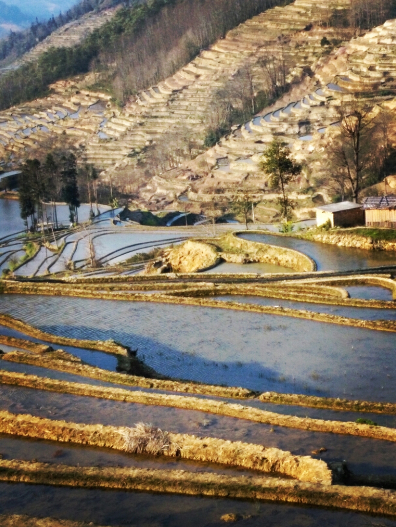 2023坝达景区游玩攻略,梯田景观给人的第一感觉就是.【去哪儿攻略】