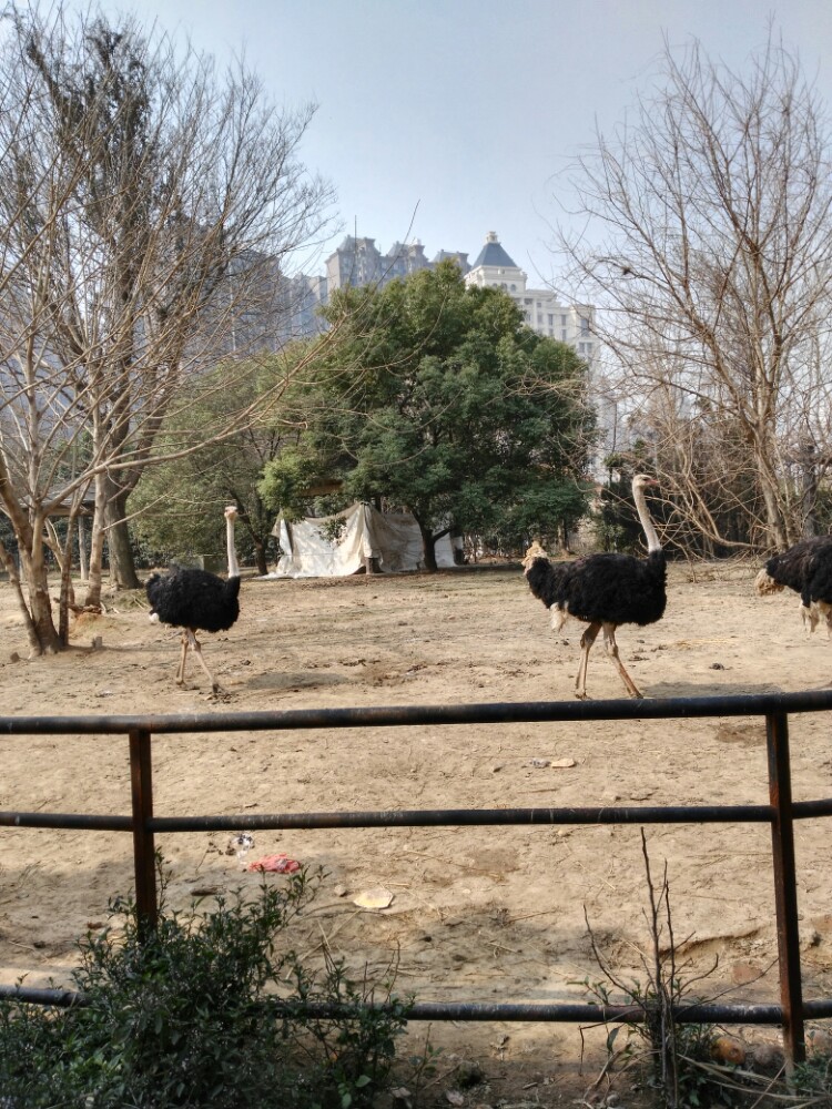 南昌動物園