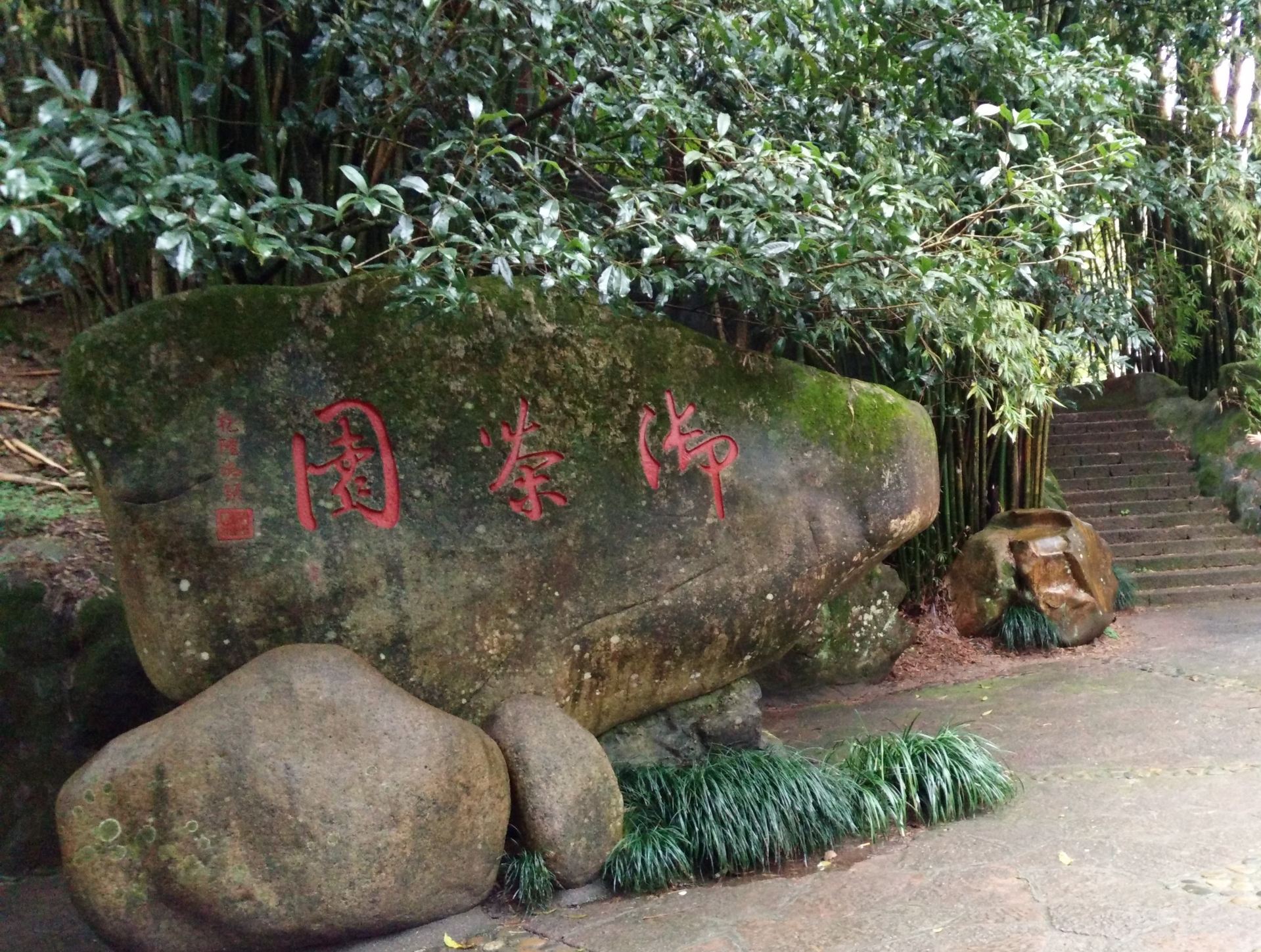 2021御茶园遗址-旅游攻略-门票-地址-问答-游记点评,武夷山旅游旅游