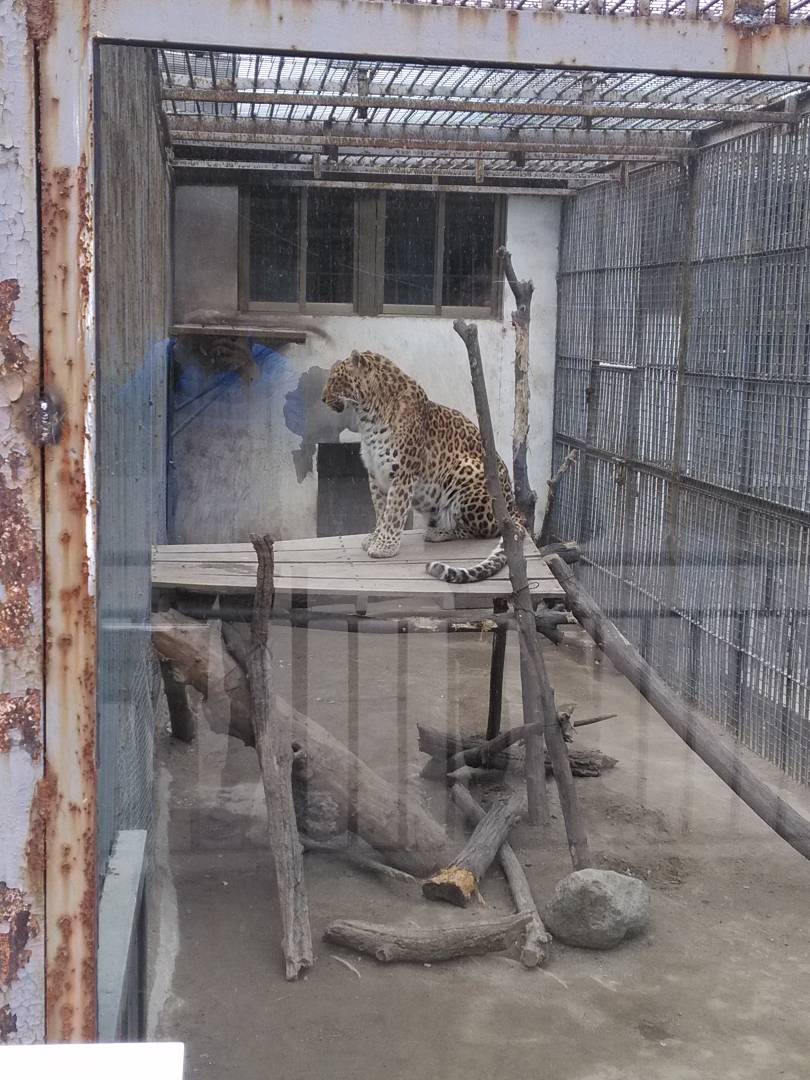 2019濟南動物園_旅遊攻略_門票_地址_遊記點評,濟南旅遊景點推薦 - 去