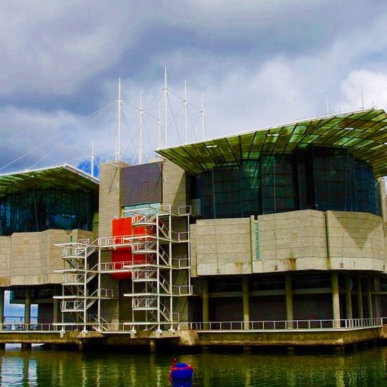 【携程攻略】里斯本里斯本海洋馆好玩吗,里斯本里斯本海洋馆景点怎么