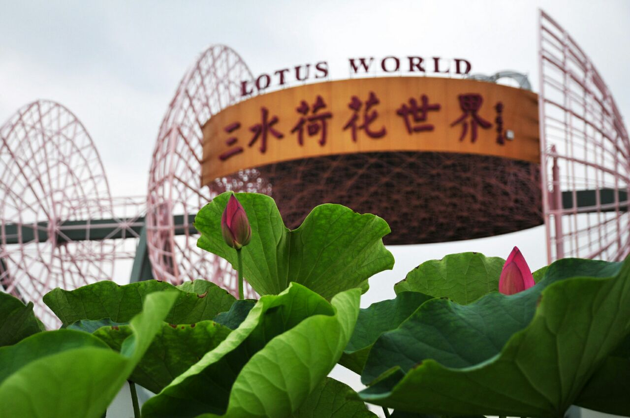 【携程攻略】佛山荷花奇境(三水荷花世界)景点,佛山三水荷花世界是