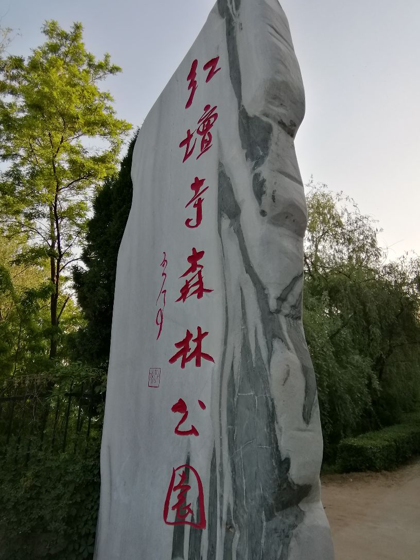 临邑红坛寺森林公园图片