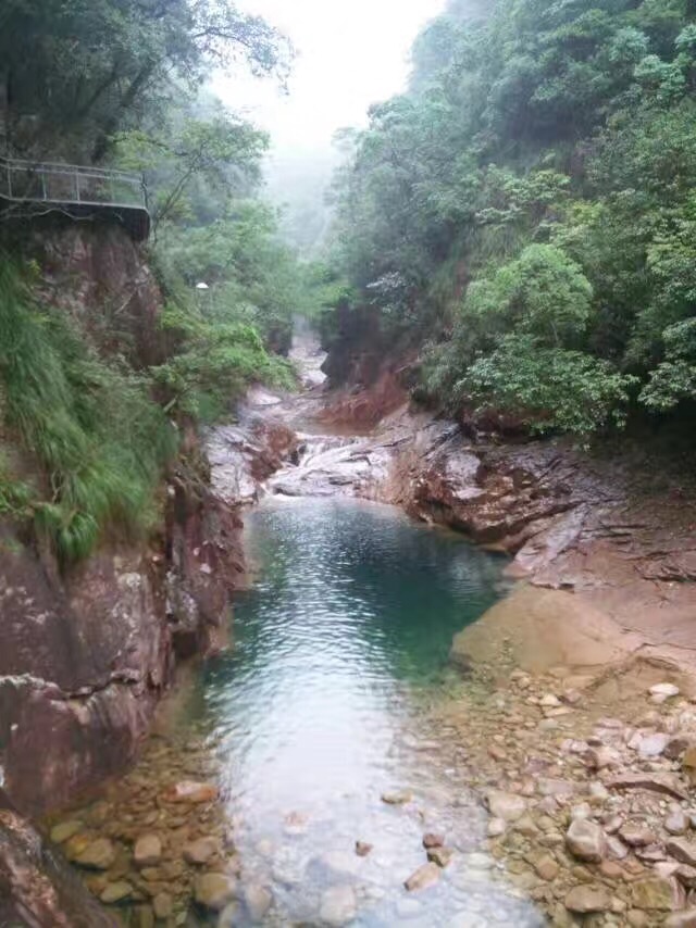 2019龍麒源_旅遊攻略_門票_地址_遊記點評,溫州旅遊景點推薦 - 去哪兒