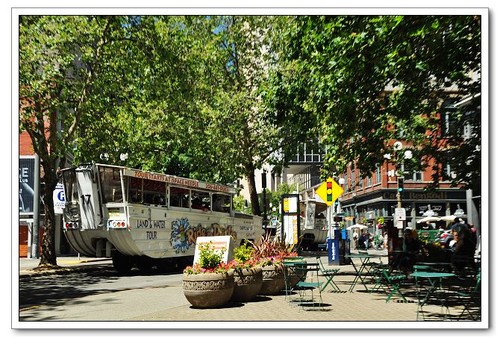 西雅图先民广场好玩吗,西雅图先民广场景点怎么样_点评_评价【携程