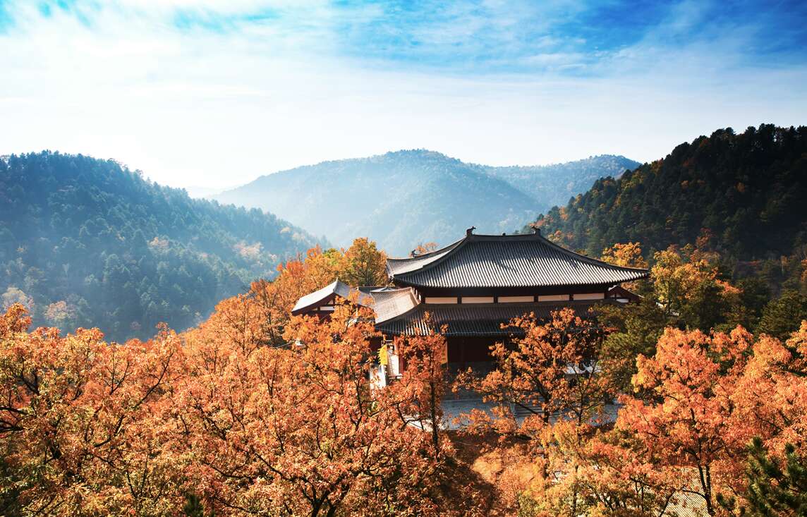 陕西黄陵国家森林公园