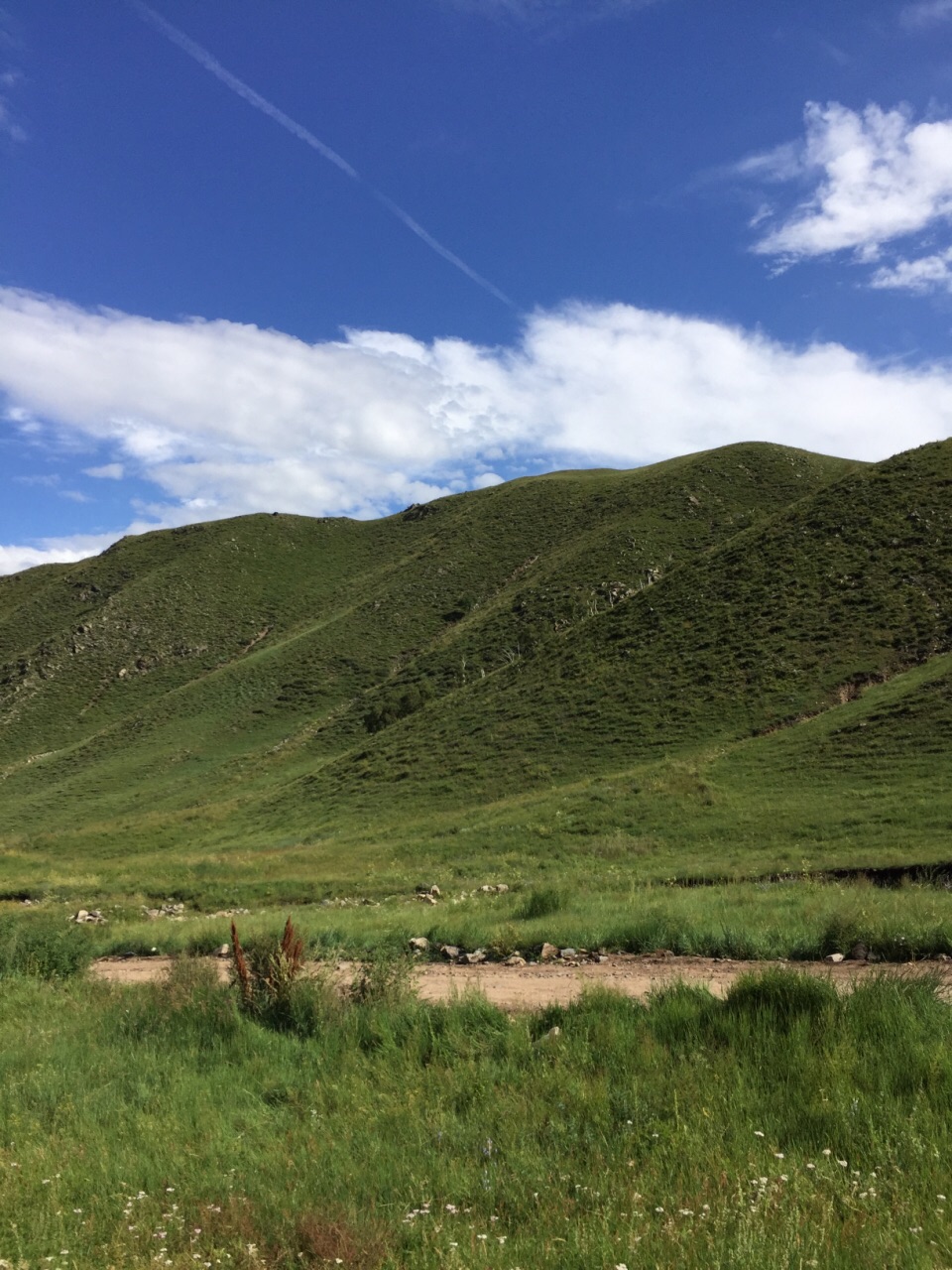 輝騰錫勒黃花溝草原旅遊區