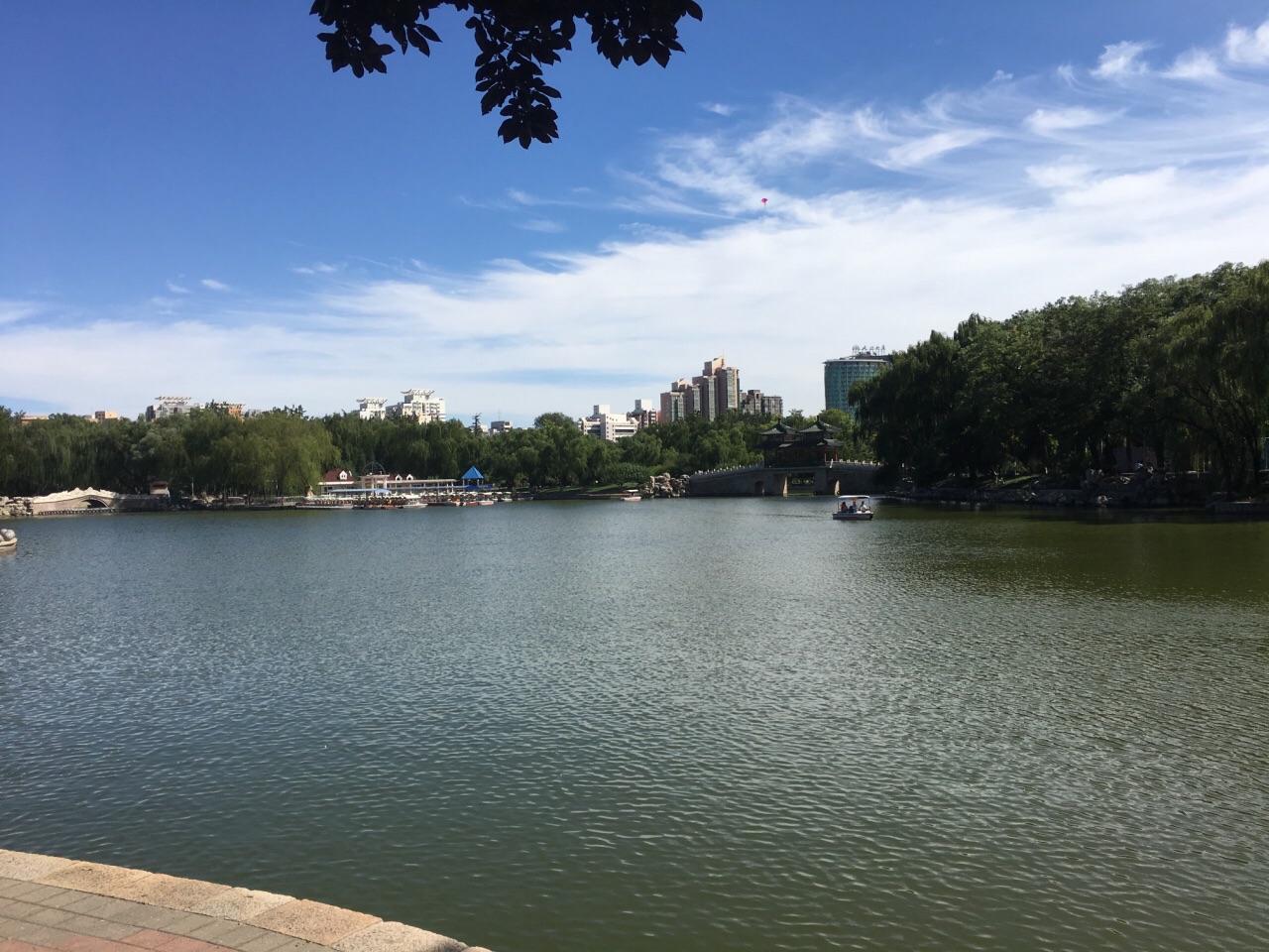 龍潭公園旅遊景點攻略圖