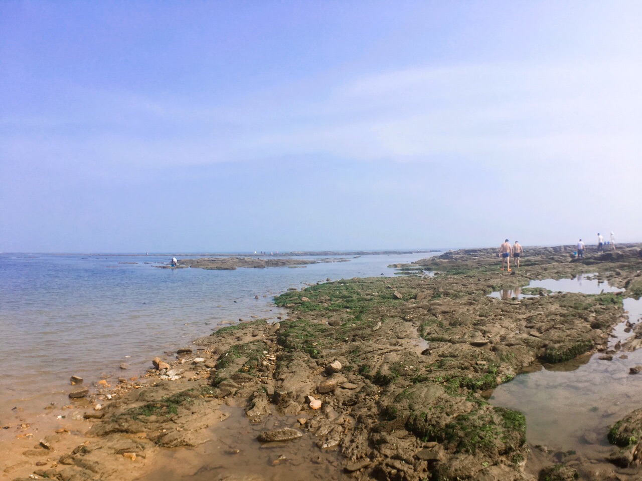 日照海濱國家森林公園旅遊景點攻略圖