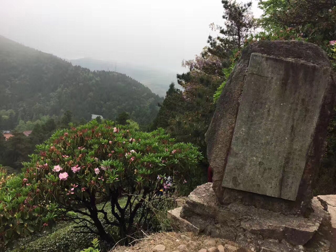 2019华顶国家森林公园_旅游攻略_门票_地址_游记点评,天台山旅游景点