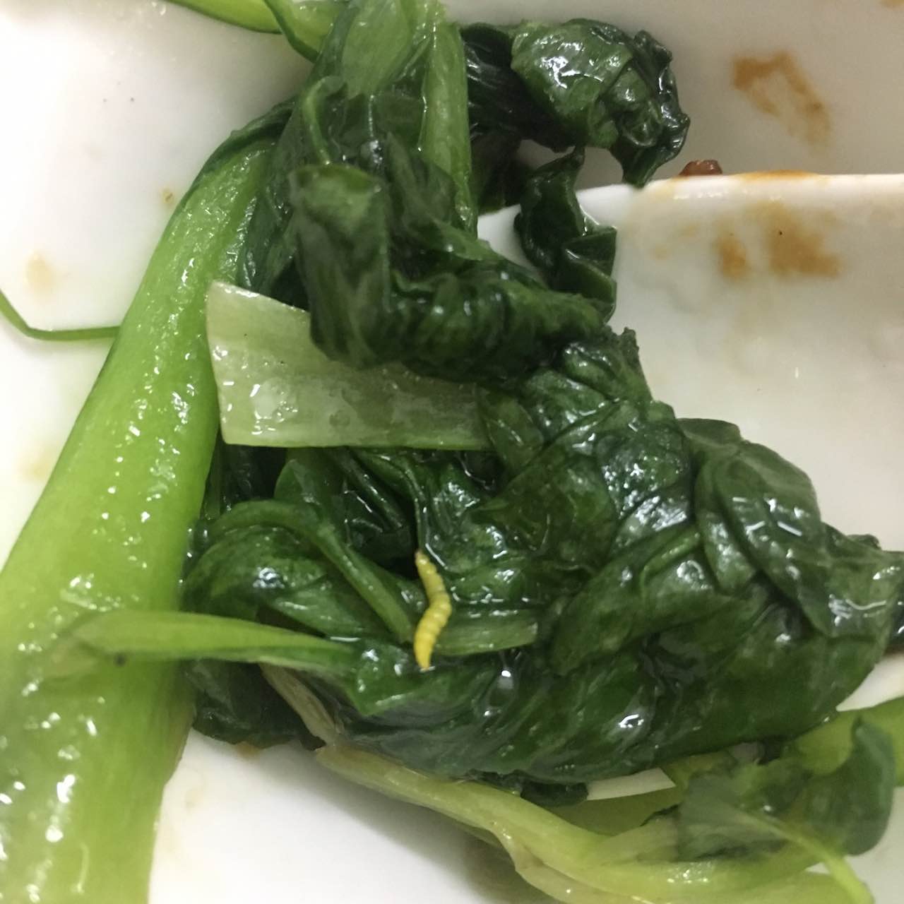 吃的最窩心的上海菜,油爆蝦45塊,這個盤子我吃了三分之一.