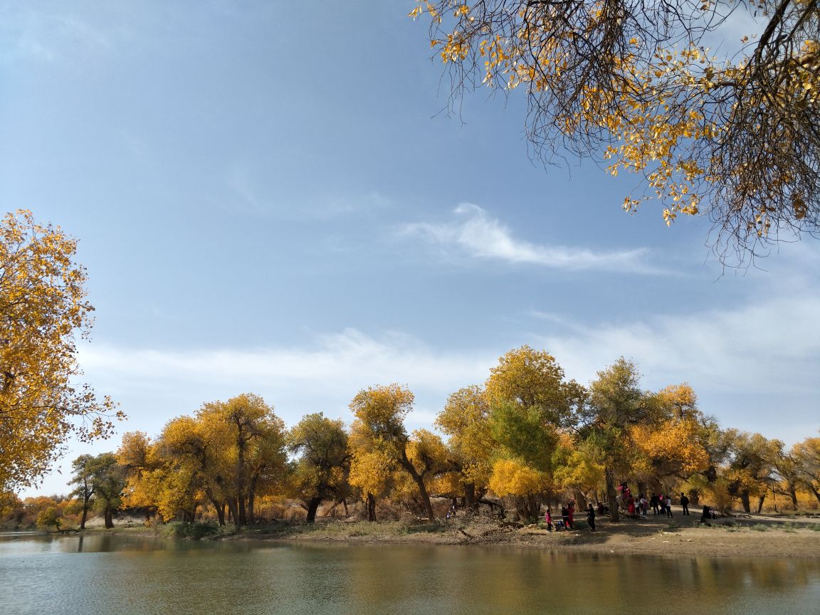 【携程攻略】额济纳旗二道桥景点,额济纳胡杨林最美的一处,因为有水