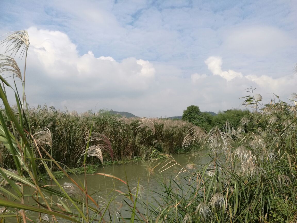 德清下渚湖溼地公園