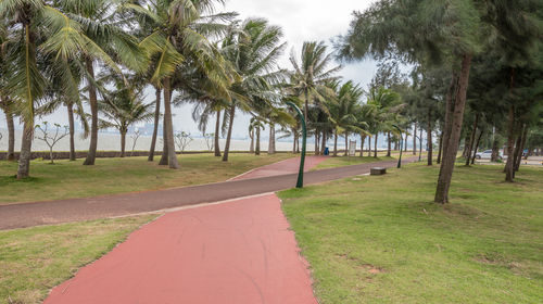 西海岸带状公园(海口)和文笔峰(定安)是赠送景点,导游会根据当天始滗