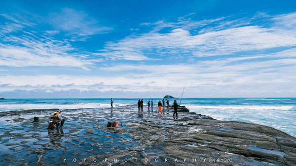 一个人蹩脚英文勇闯新西兰北岛奥克兰+汉密尔