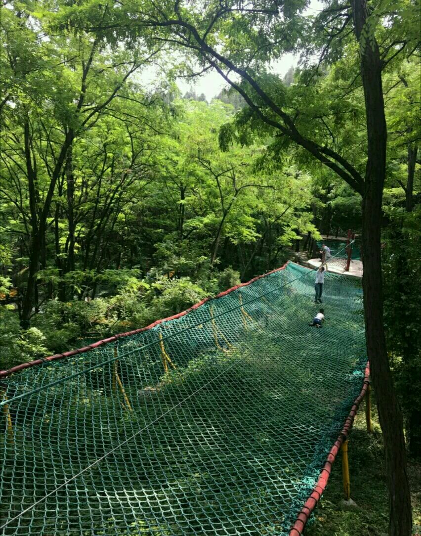 2019原山国家森林公园-旅游攻略-门票-地址-问答-游记点评,淄博旅游