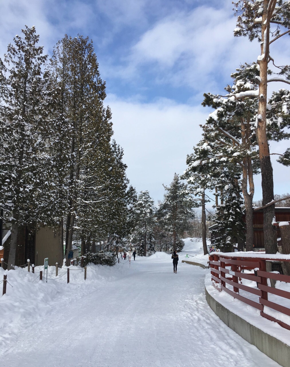 旭川旭山公园图片