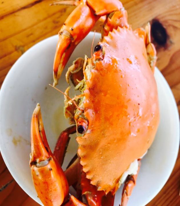 潮汕野生动物世界