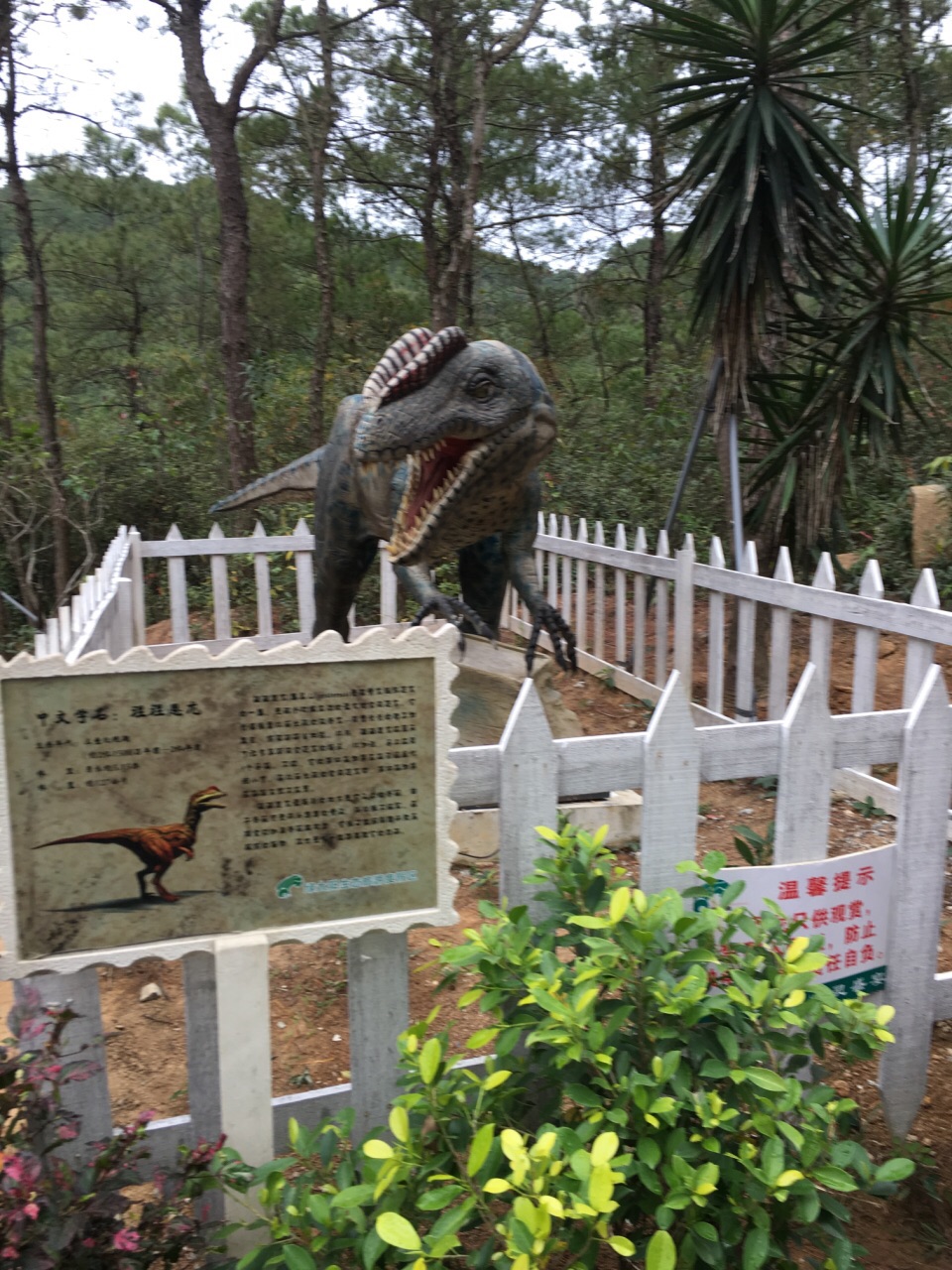 潮州綠太陽生態旅遊度假區好玩嗎,潮州綠太陽生態旅遊度假區景點怎麼