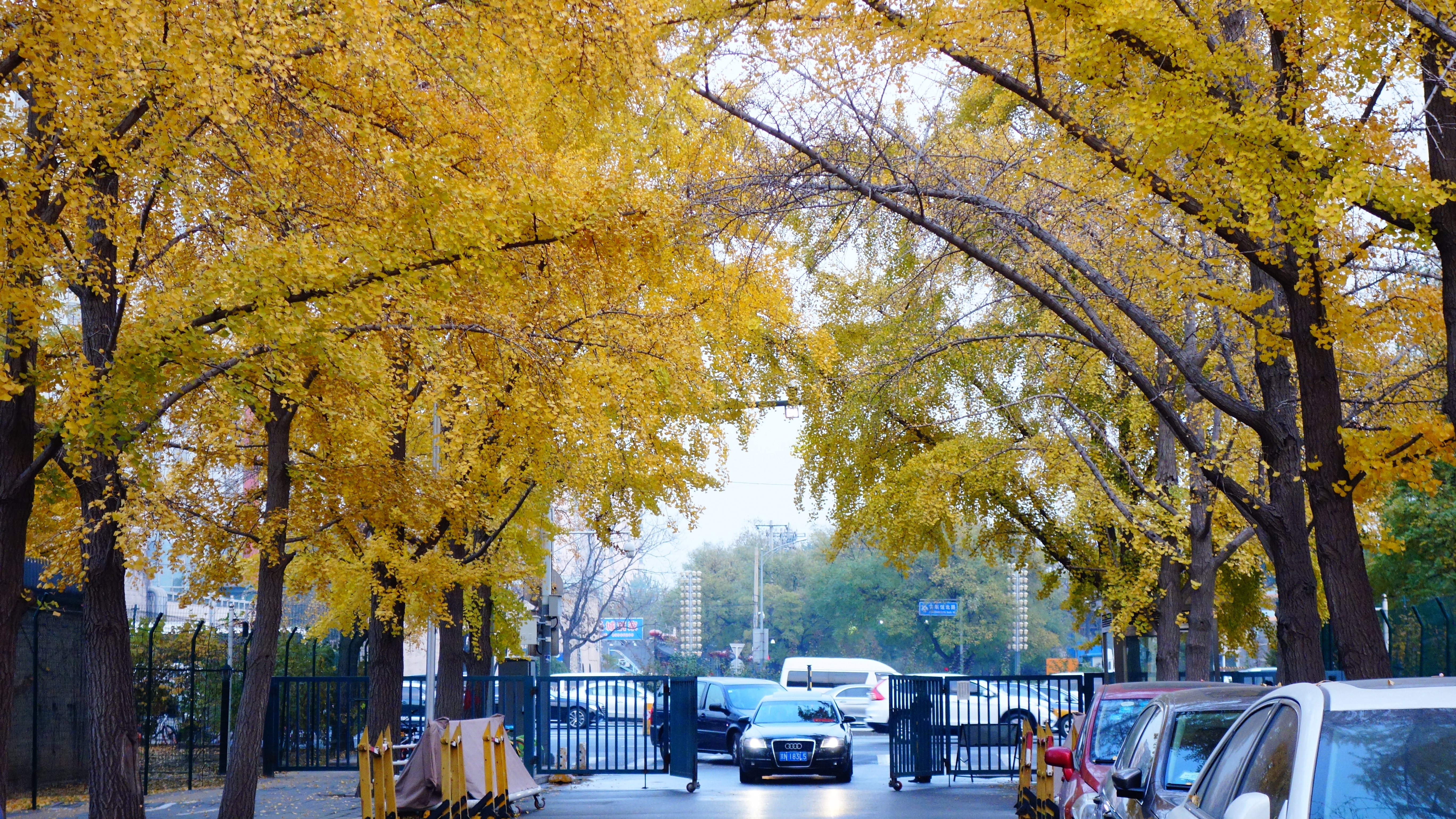 东直门外大街,三里屯路,三里屯东街,三里屯东五街.