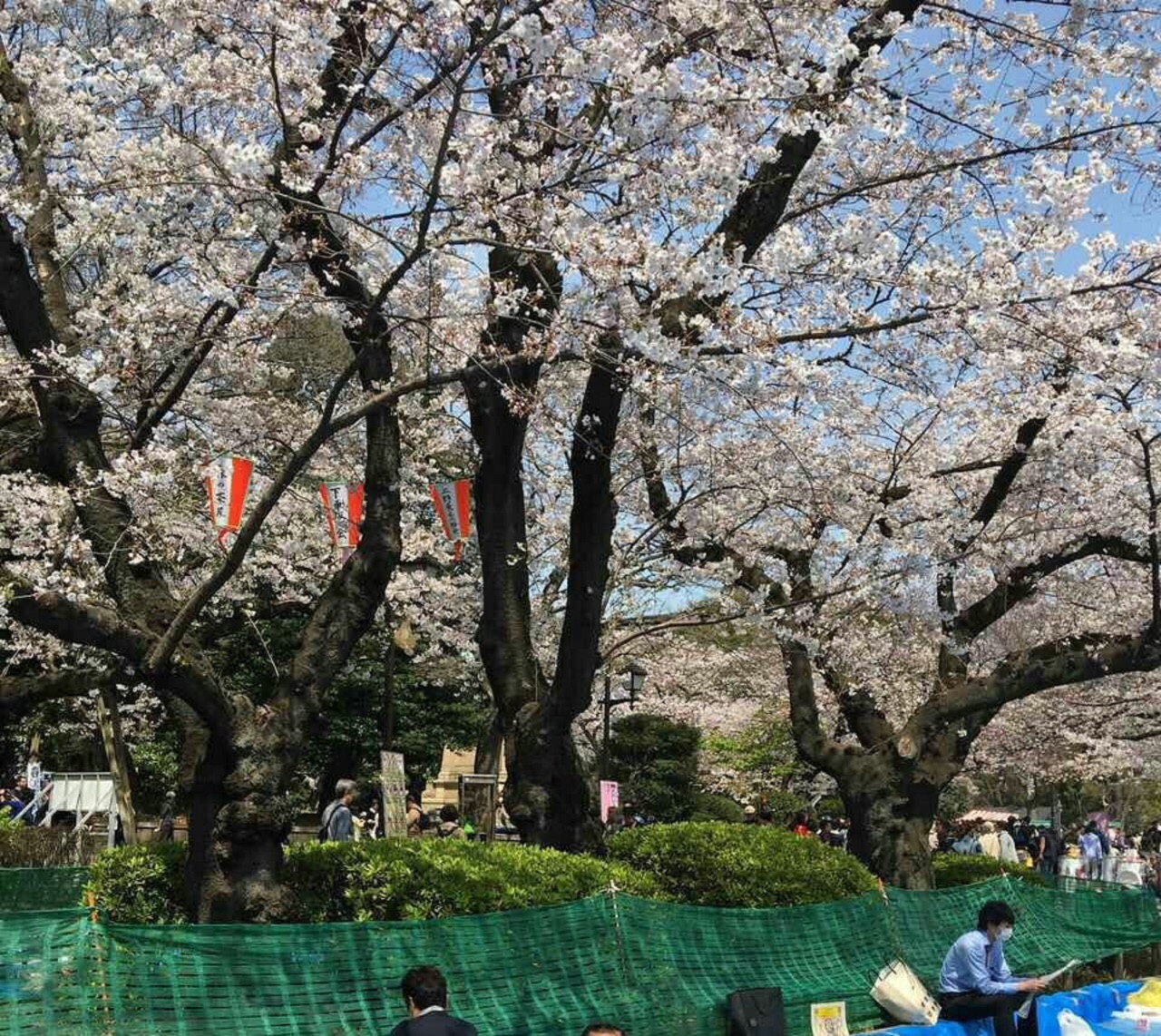 携程攻略 东京日比谷公园景点 在中心的一个公园 是一个免费的公园 每一天来的人还是挺多的 不过