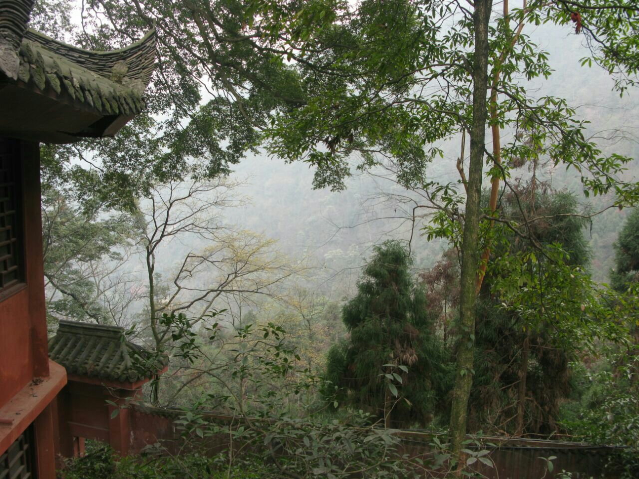 峨眉山圣水禅院当家师图片