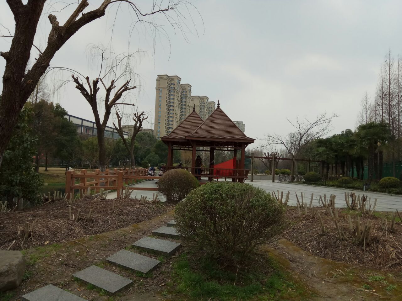 华泾公园图片